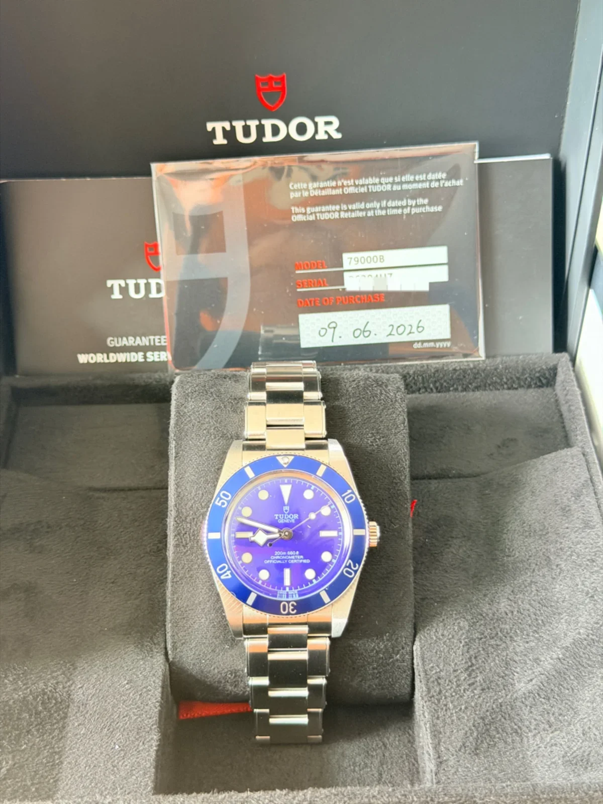 Tudor