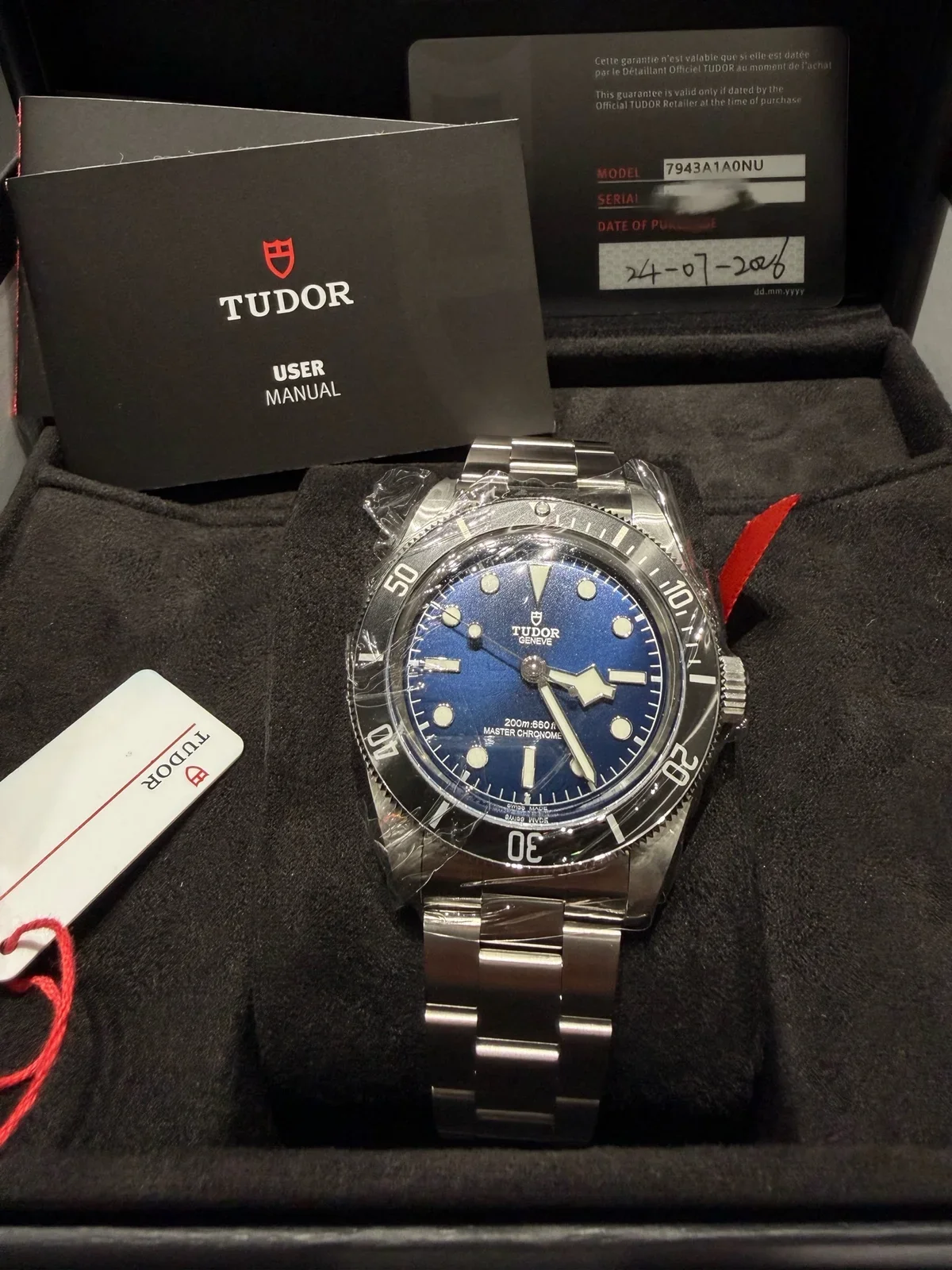 Tudor