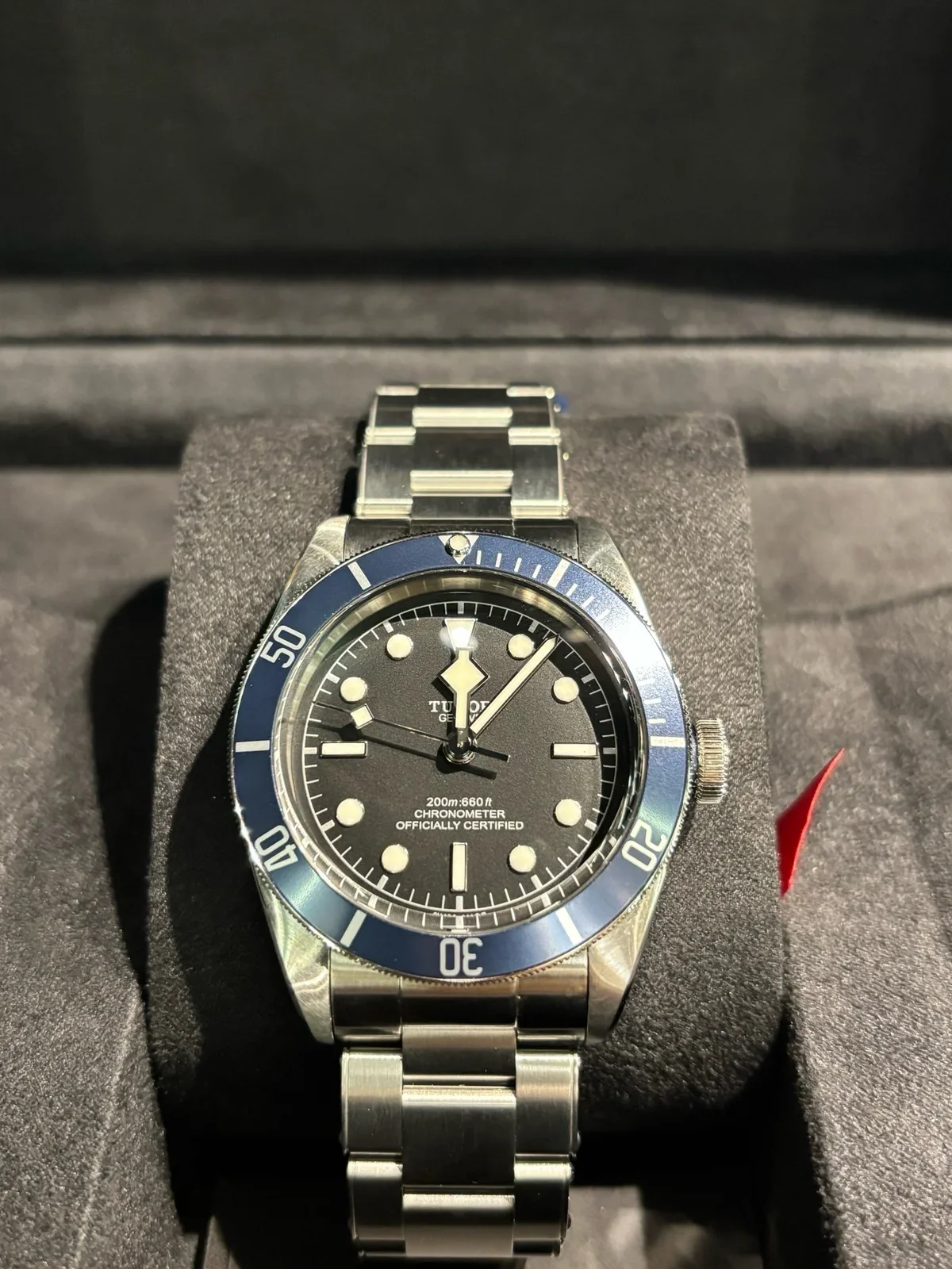 Tudor