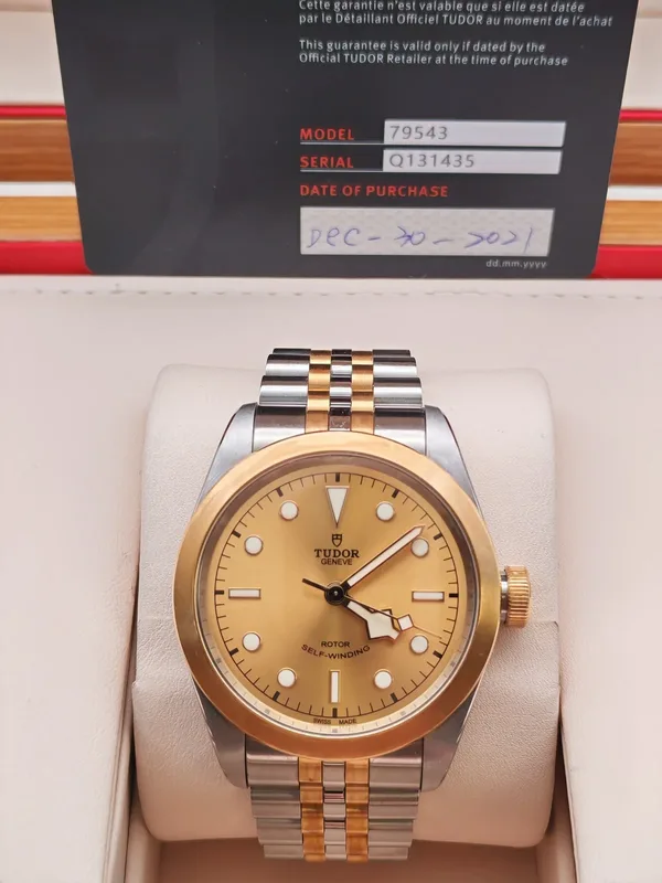 Tudor