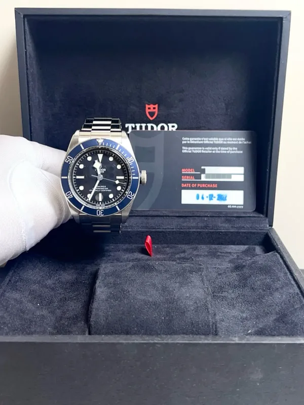 Tudor